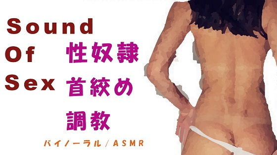 Sound Of Sex〜性奴●調教！勝手にイキまくるメス豚にお仕置（ご褒美？）首絞めファック！〜HQバイノーラル/ASMR/ノンフィクションエロボイス