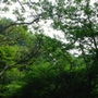 自然音 - 瑞浪 - 小川02 (2019 Remaster) d_172266のパッケージ画像 自然音 - 瑞浪 - 小川02 (2019 Remaster) d_172266のパッケージ画像