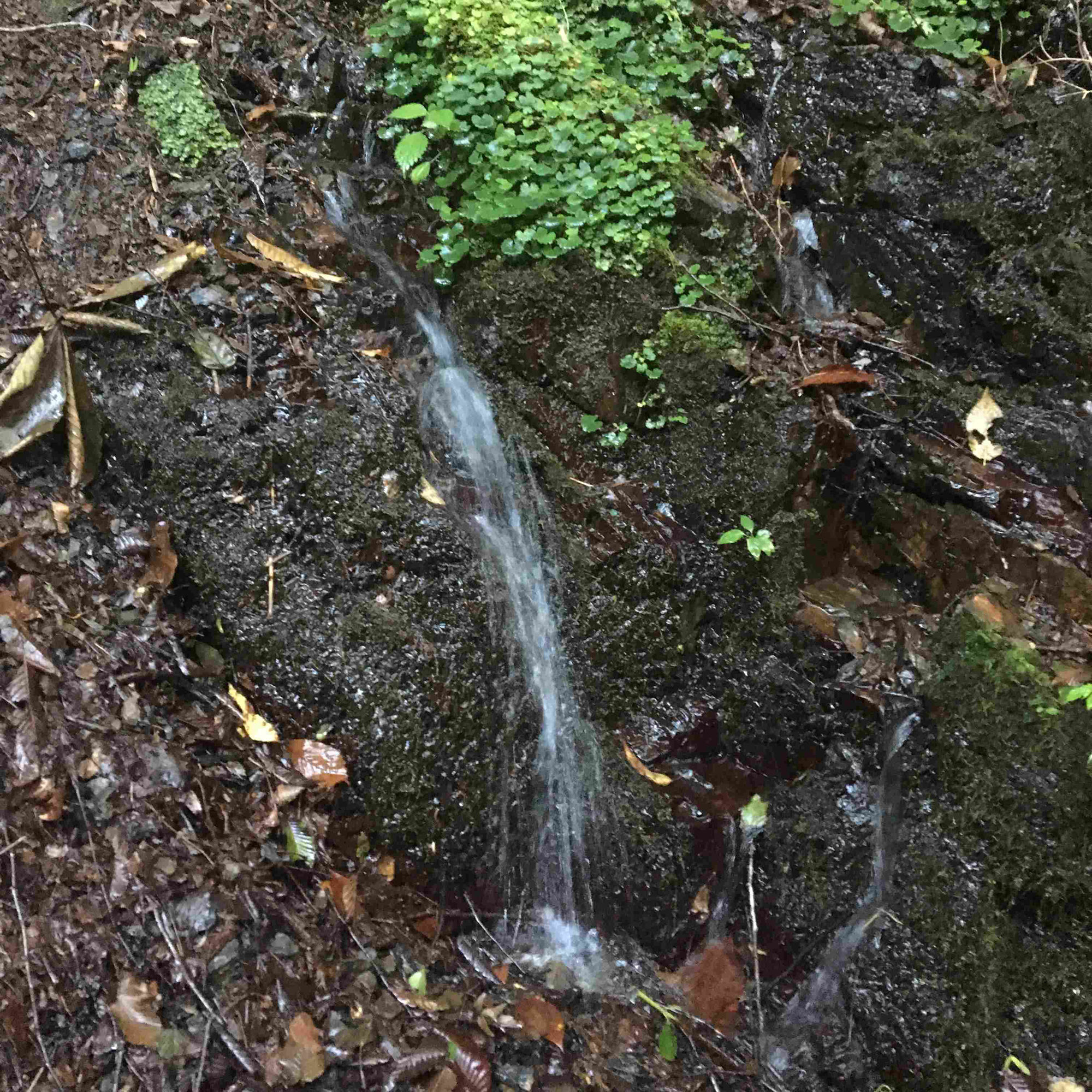 サンプル画像1:自然音 – 小菅 – 滝03 ［24bit/48kHz］(UZ) [d_173894]