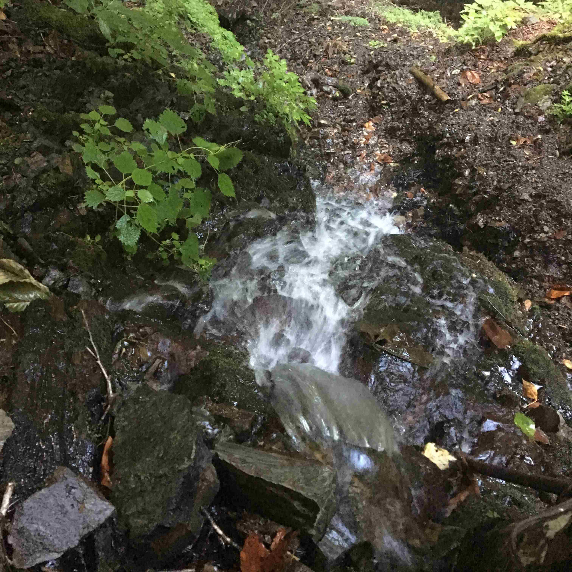 サンプル画像1:自然音 – 小菅 – 滝04 ［24bit/48kHz］(UZ) [d_173899]