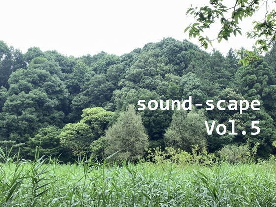 環境音 - 茅ヶ崎海岸 - 波音01A#3 (バイノーラル)のジャケット