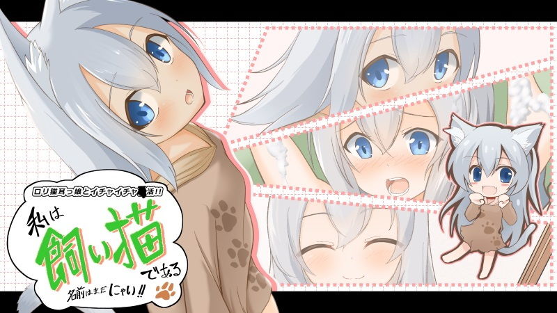 私は飼い猫である！名前はまだにゃい！