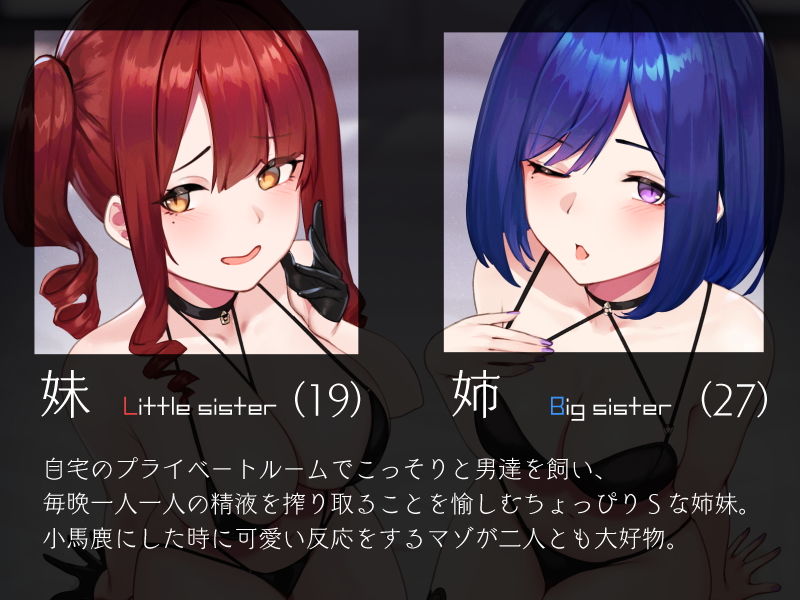 サンプル画像2:姉妹のW吐息責めオナニーサポート(シルトクレーテ) [d_191875]