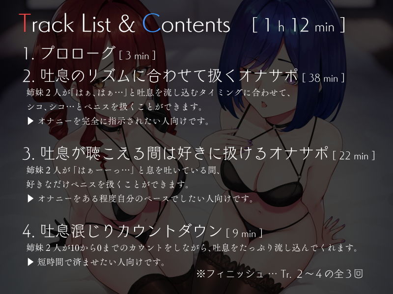 サンプル画像3:姉妹のW吐息責めオナニーサポート(シルトクレーテ) [d_191875]