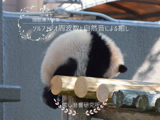 サンプル画像1:ソルフェジオ周波数と自然音による癒し(癒し音響研究所) [d_193270]