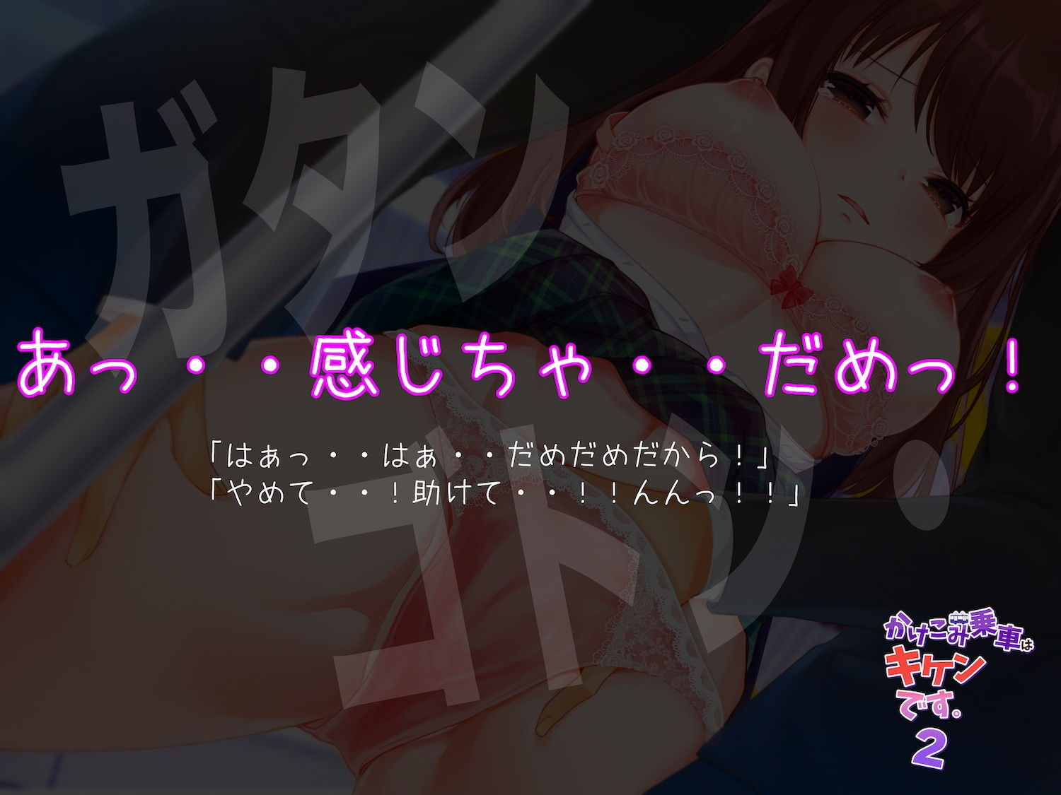 サンプル画像2:かけこみ乗車はキケンです。2【バイノーラル実録痴●体験】(alice ＋ jewel) [d_197250]