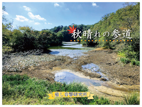 サンプル画像1:秋晴れの参道 バイノーラル録音によるバーチャル参拝(癒し音響研究所) [d_198540]