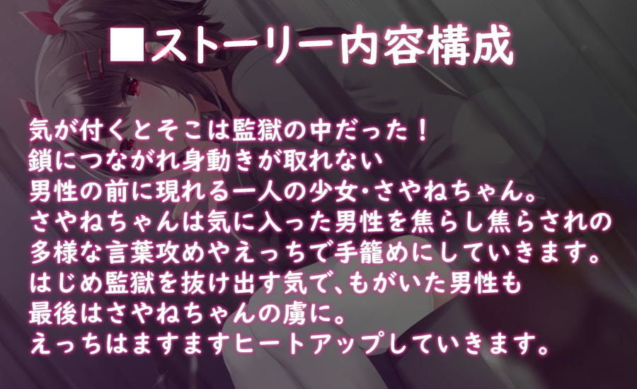 サンプル画像2:【ハイレゾ×KU100】監獄少女【収録時間2時間】(テグラユウキ) [d_202431]