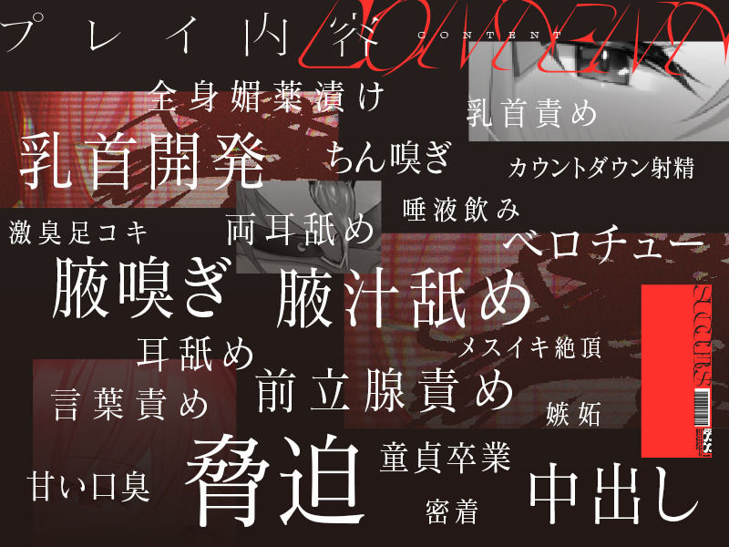 サンプル画像5:低音ボイスの汗だくサキュバスによる乳首責めと前立腺責め(ユーフォリアファクトリー) [d_205553]