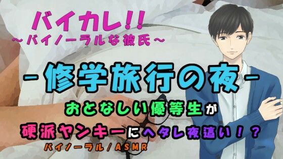 修学旅行〜弱気な優等生が一線を越える夜！ヘタレが硬派ヤンキーを夜●い！？ ASMR/バイノーラル/ボーイズラブ/ホモ/ゲイ/ヘタレ/ヤンキー/催●音声/エロボイス | 爽やか処理済み痛快空間