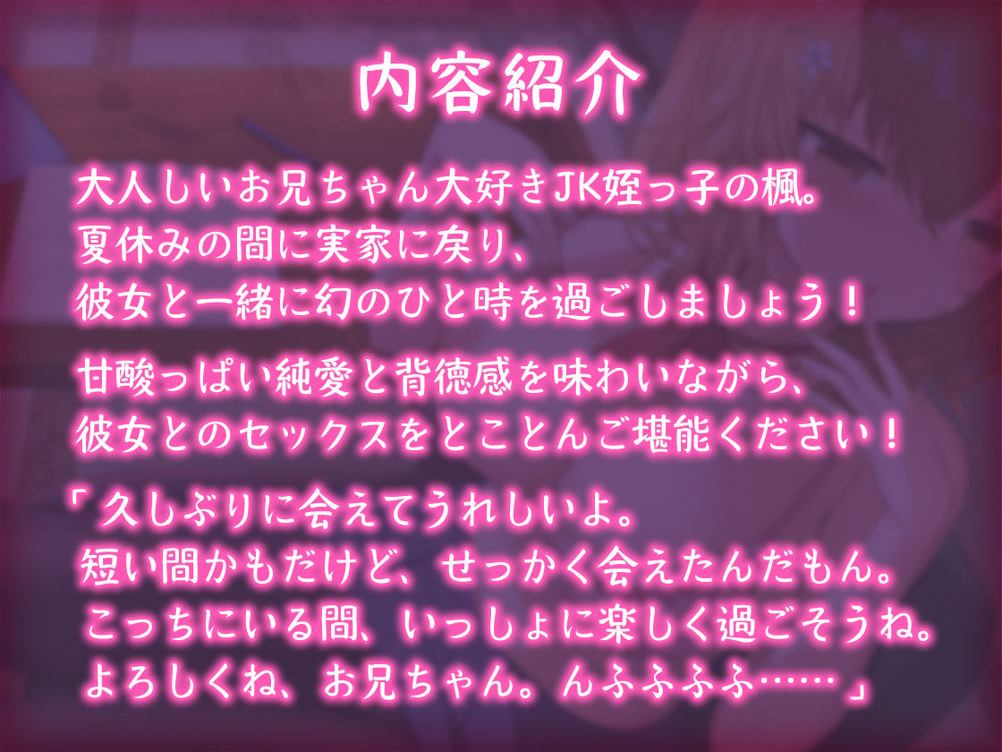 サンプル画像2:【青春純愛妄想系】姪っ子JKと過ごす甘々夏休み〜背徳の初体験と忘れ得ぬ日々〜(m3t) [d_214453]