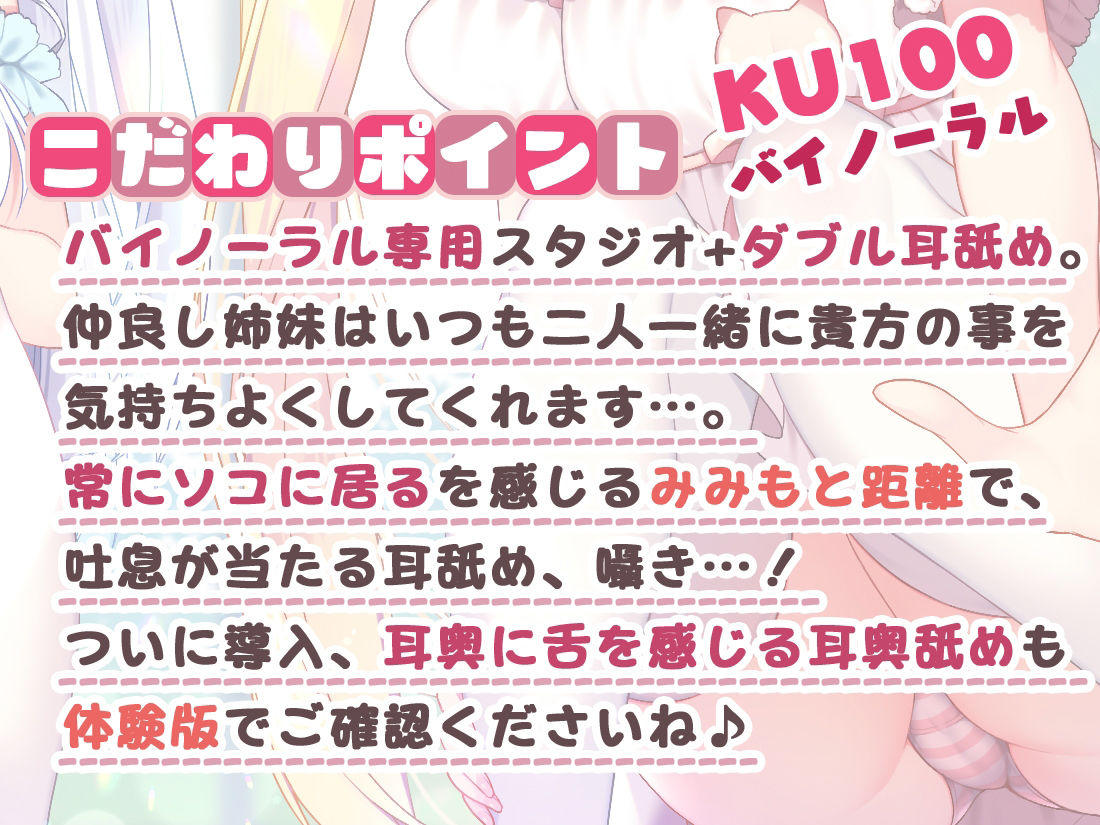 サンプル画像1:【吐息感じる両耳舐め】お兄ちゃんの為なら何でもするよ！お耳もおち〇ちんも全部気持ちよくなーれ♪(ひだまりみるくてぃ) [d_220161]