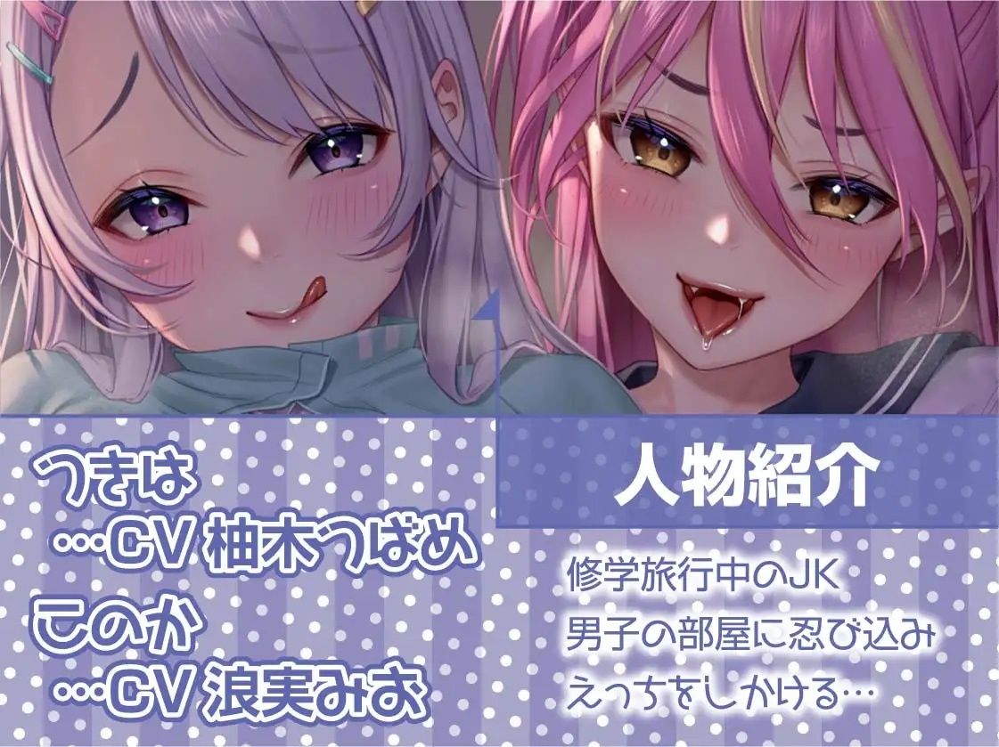 サンプル画像5:生ハメ修学旅行。【フォーリーサウンド】(テグラユウキ) [d_221064]