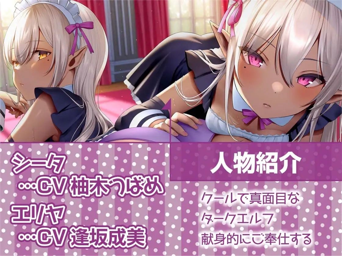 サンプル画像5:クールで真面目なエルフメイド2人との性処理性活【フォーリーサウンド】(テグラユウキ) [d_223406]