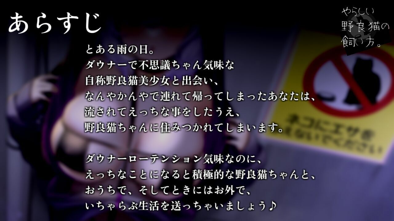 サンプル画像2:やらしい野良猫の飼い方。 〜ロリ巨乳不思議ちゃん女子といちゃらぶ生活、ヒミツのドスケベ野外えっち〜【KU100】(とろとろスタジオ) [d_223955]
