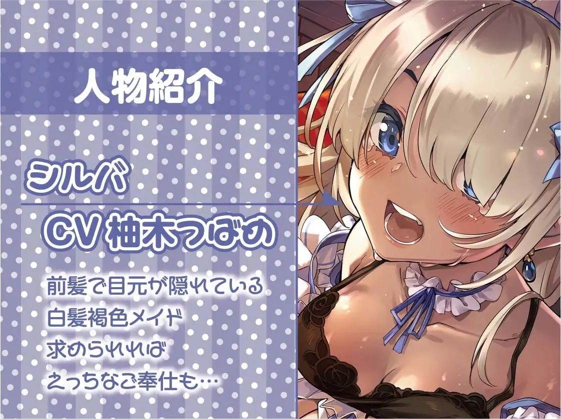 サンプル画像5:白髪目隠し褐色メイドとの中出し性処理性活【フォーリーサウンド】(テグラユウキ) [d_225026]