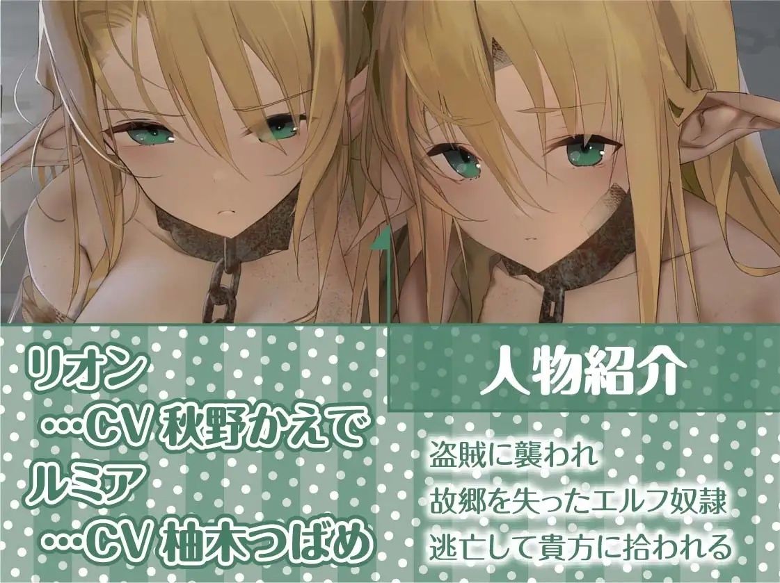 サンプル画像5:姉妹エルフ奴●との甘々中出し性活〜ボロボロのエルフ二人を助けて可愛がって孕ませる〜【フォーリーサウンド】(テグラユウキ) [d_225027]