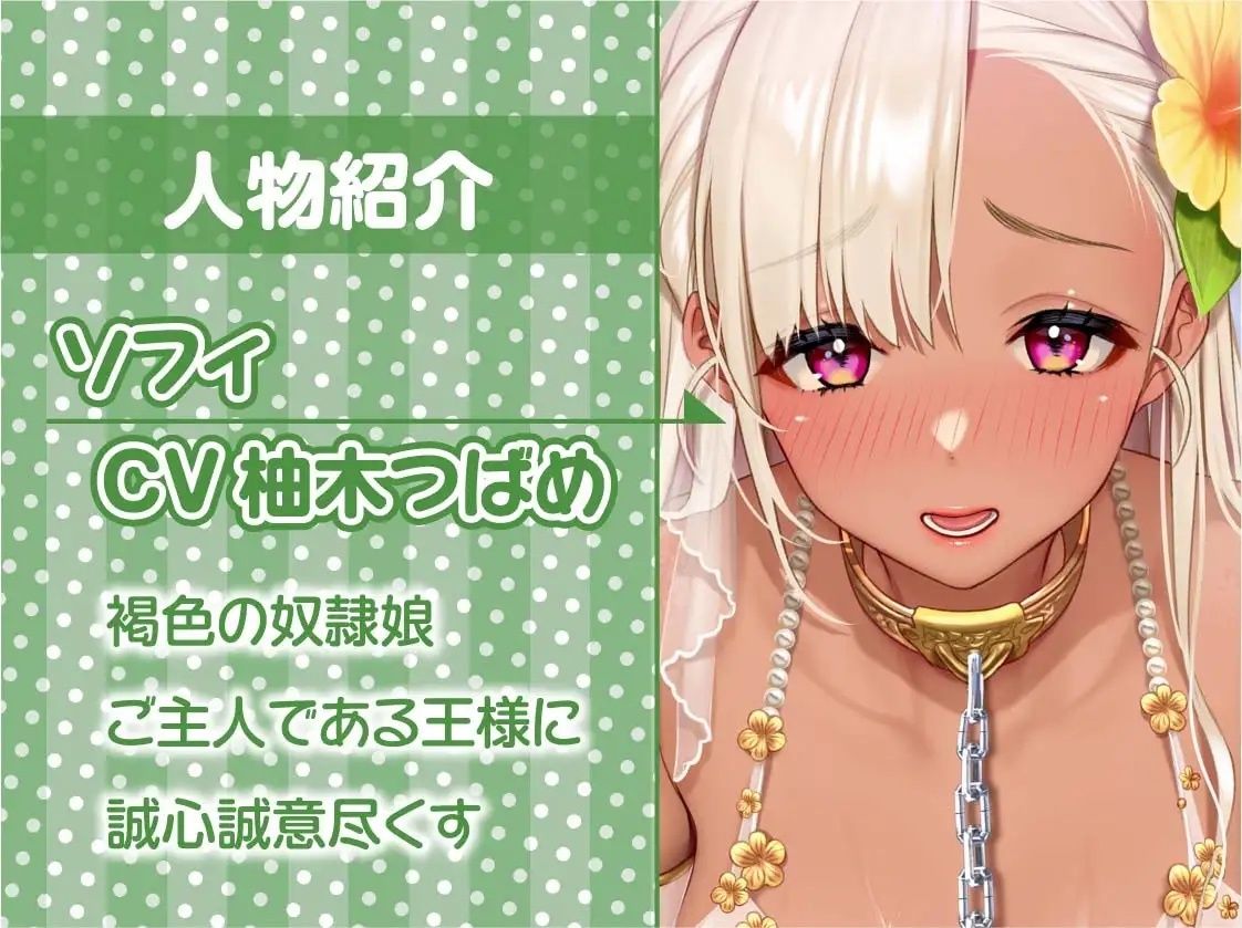 サンプル画像5:王様専用甘々性処理褐色奴●おま〇こに中出しを！【フォーリーサウンド】(テグラユウキ) [d_227491]