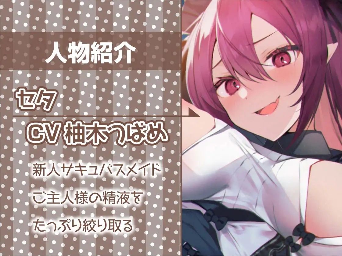 サンプル画像5:中出し孕み担当のサキュバスメイドとのドスケベえちえち性活【フォーリーサウンド】(テグラユウキ) [d_227880]