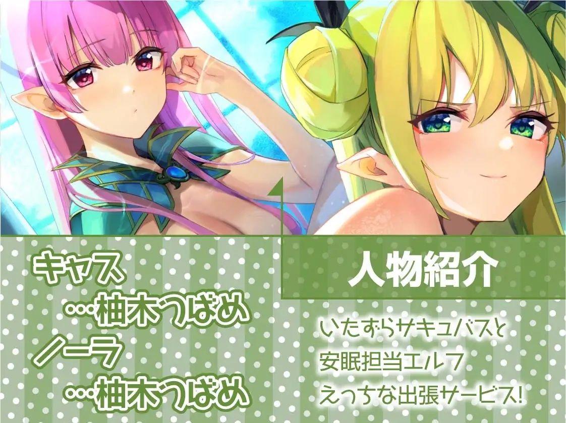 サンプル画像5:安眠担当＆いたずら担当！えちえち出張サキュバス＆エルフ！【フォーリーサウンド】(テグラユウキ) [d_230331]