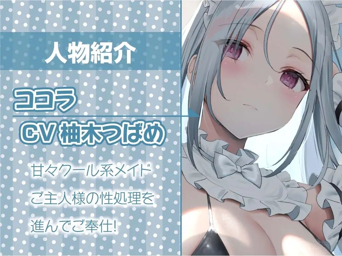 サンプル画像5:クールな白髪水着メイドとえちえち海遊び【フォーリーサウンド】(テグラユウキ) [d_230347]