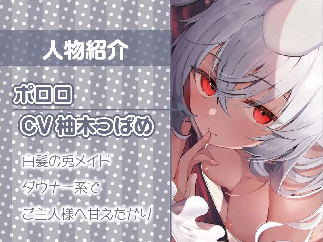 サンプル画像5:ダウナー白髪兎メイドの甘えたがりだるだる交尾【フォーリーサウンド】(テグラユウキ) [d_230351]