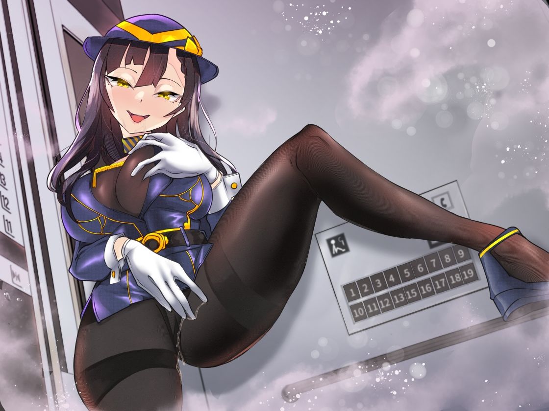 サンプル画像2:痴女エレベーターガールの密室ドスケベ変態逆●●プ 〜チンポずっぽりハメたまま、扉開きま〜す〜(狐屋本舗) [d_231369]