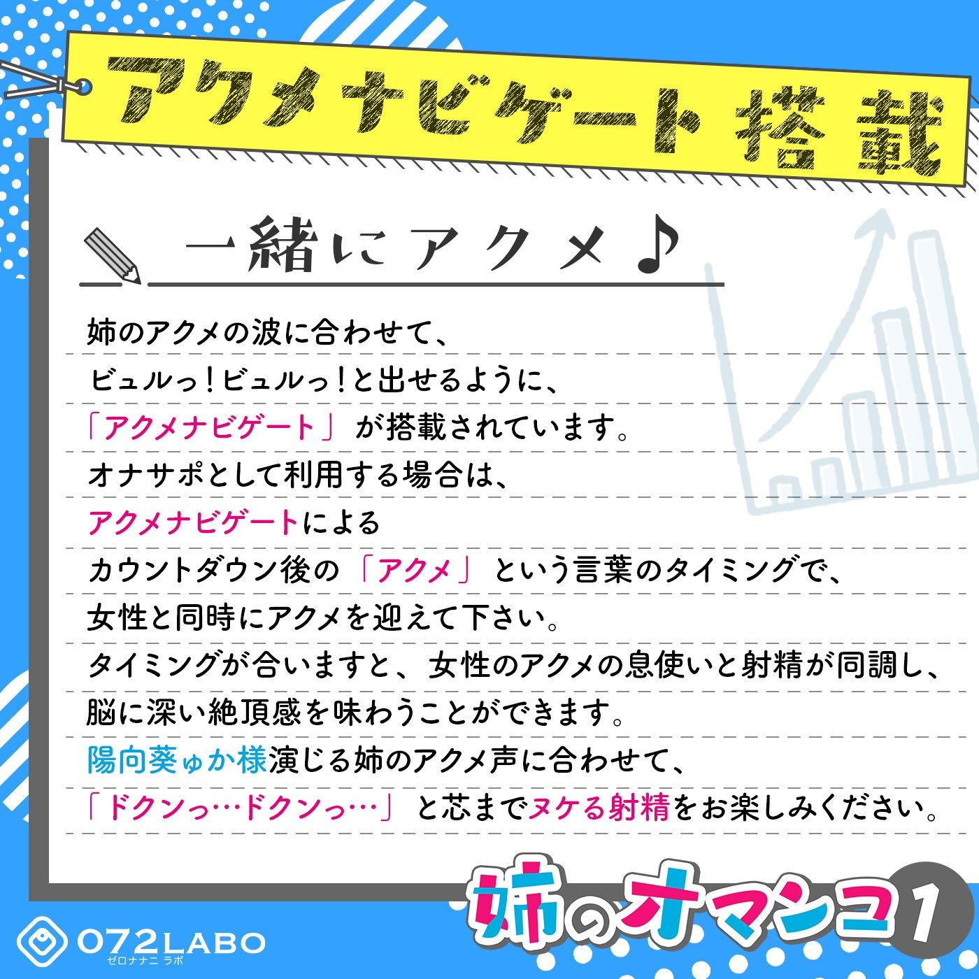 サンプル画像2:「大学のレポート協力を頼んでくる姉」姉のオマンコ1〜姉弟だから大丈夫〜【アクメナビゲート搭載】(072LABO) [d_234276]