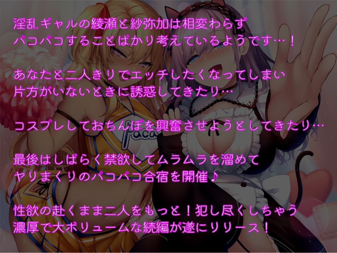 サンプル画像1:パコフレ♪ もあ！(しゃーぷ) [d_235448]