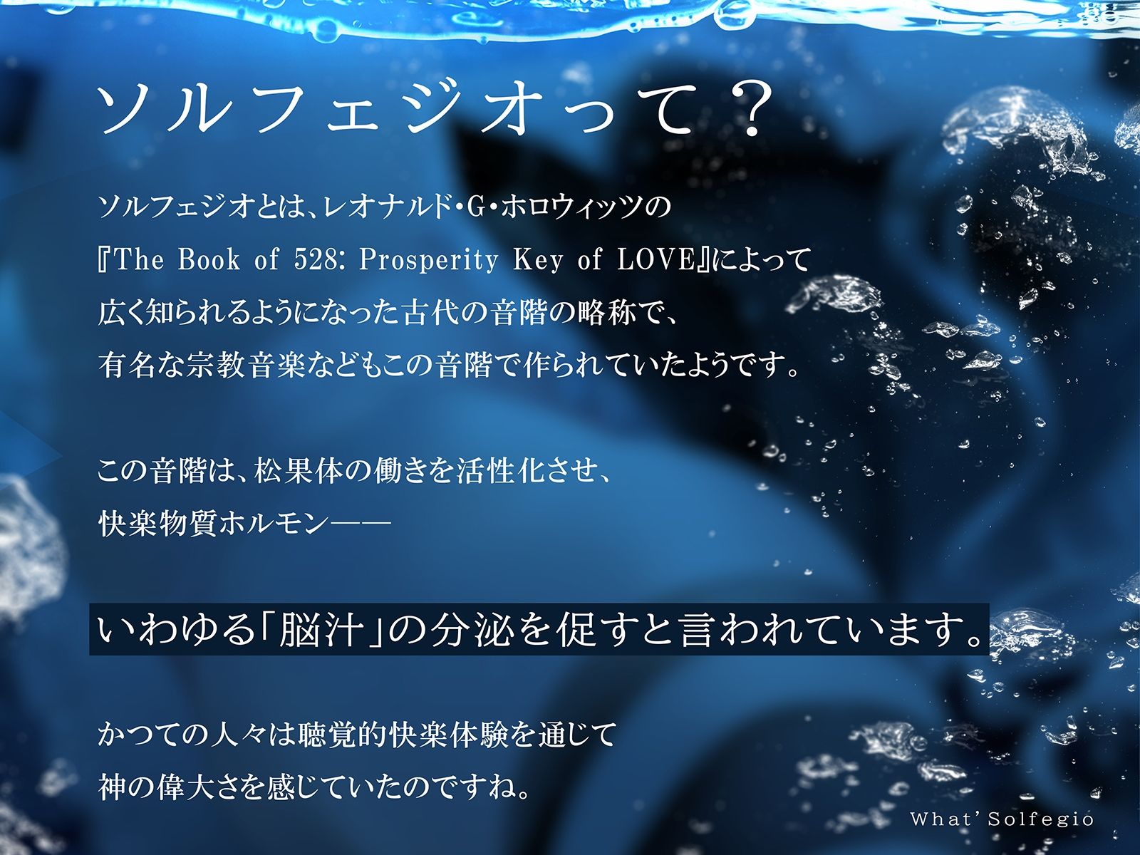 サンプル画像1:脳イキ・ソルフェジオ528〜奇跡のエンドルフィン分泌と脳イキ体験！〜(シロイルカ) [d_238305]