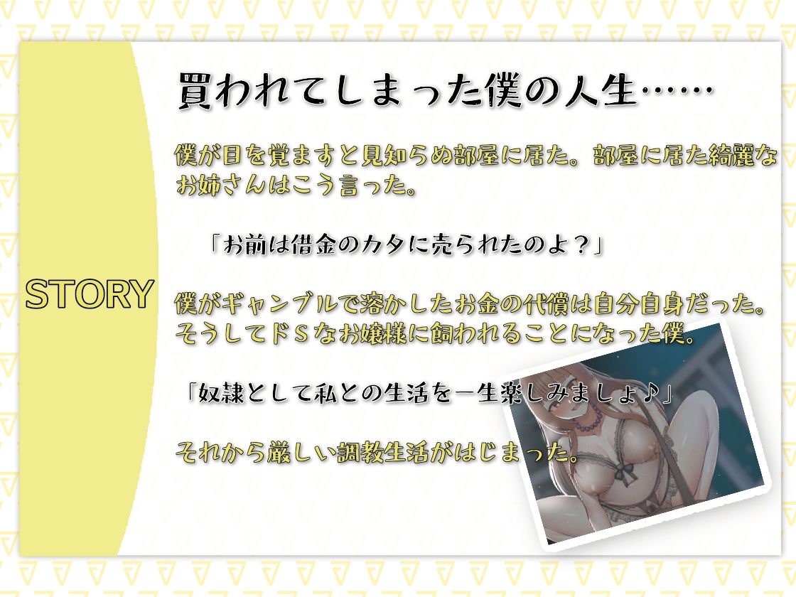 サンプル画像2:金持ちお嬢様に買われた僕の人生(あき電) [d_241069]