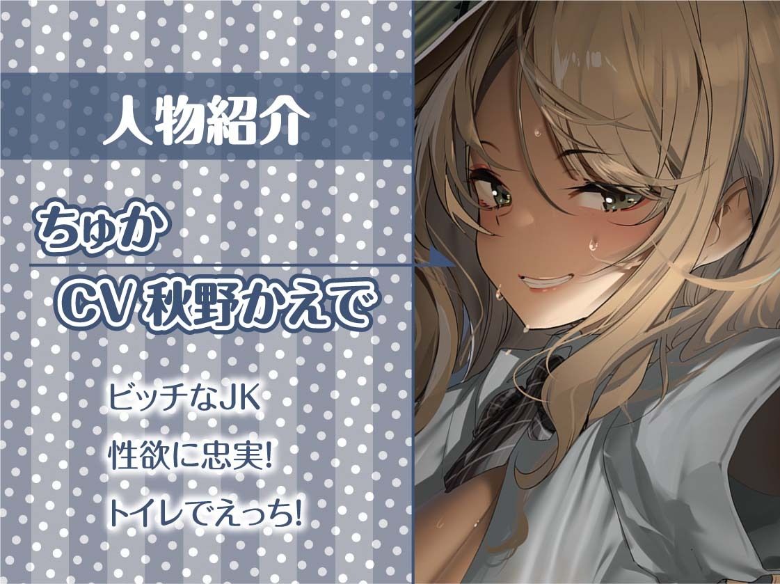 サンプル画像5:街中フリーセックス！〜ビッチなJKと公衆で中出しおっけーなフリーセックス〜【フォーリーサウンド】(テグラユウキ) [d_243702]