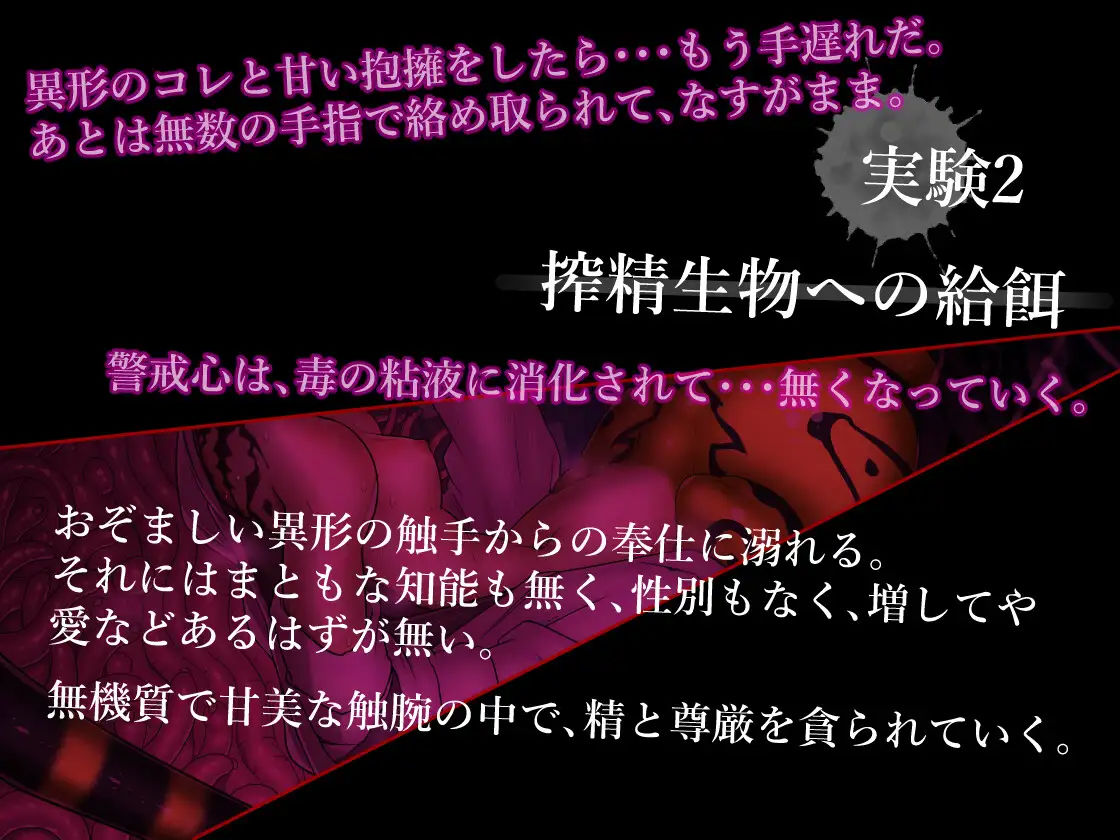 サンプル画像2:蜜がらみ 蜘蛛淫魔の篭絡房(ミンワ) [d_250888]