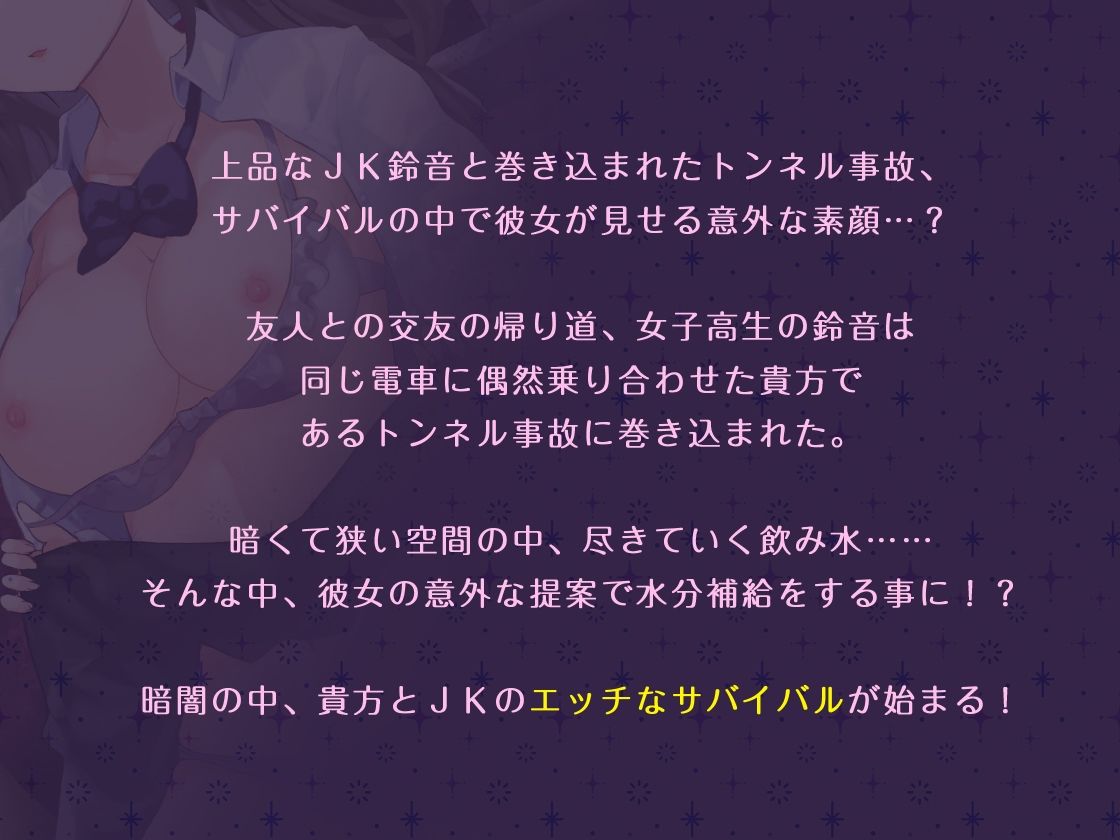 サンプル画像1:清楚JKとのエロサバイバル、終電のトンネルアクシデント！【バイノーラル】(Colapi) [d_252100]
