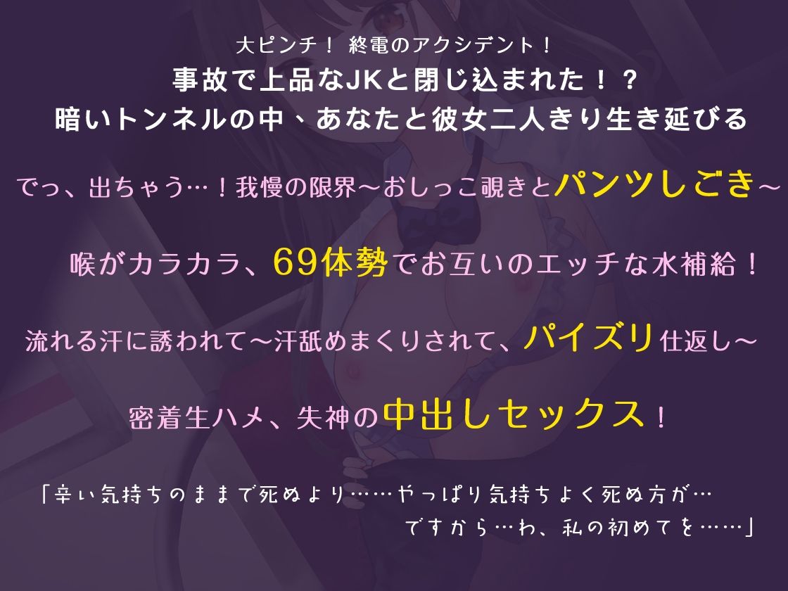 サンプル画像3:清楚JKとのエロサバイバル、終電のトンネルアクシデント！【バイノーラル】(Colapi) [d_252100]