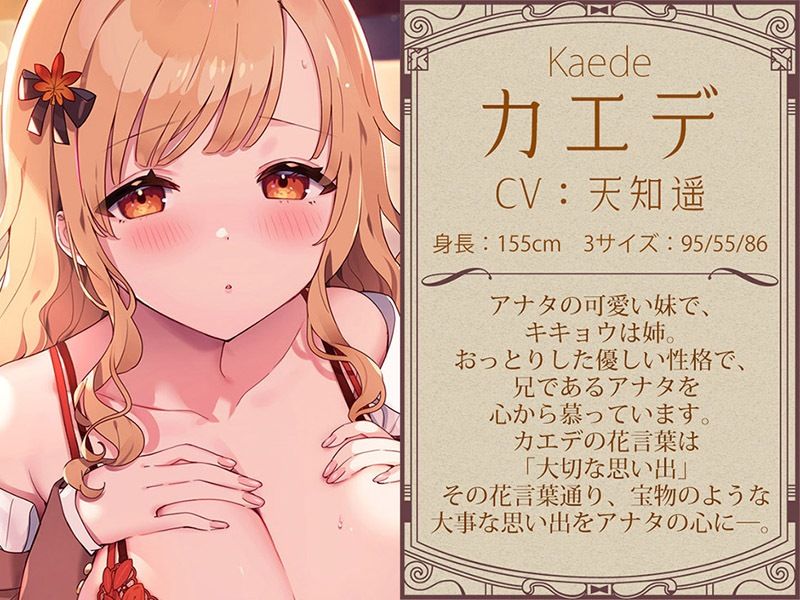 サンプル画像4:耳舐めコンシェルジュ♪ 愛しきお兄様に至高の癒やしと快楽を【KU100バイノーラル】(パースペクティブ少女幻奏) [d_254318]