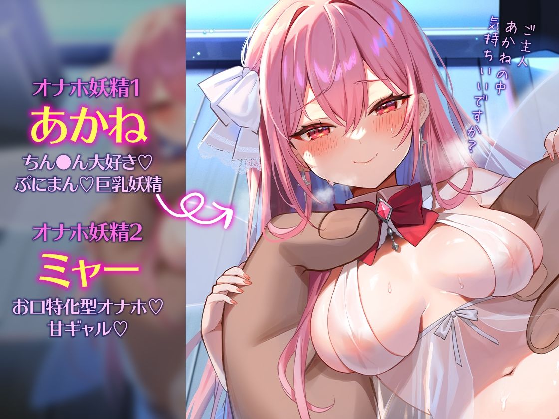 サンプル画像2:あなたのオナホに妖精が宿りました【オマケトラック付き】(あぶそりゅ〜と) [d_261975]