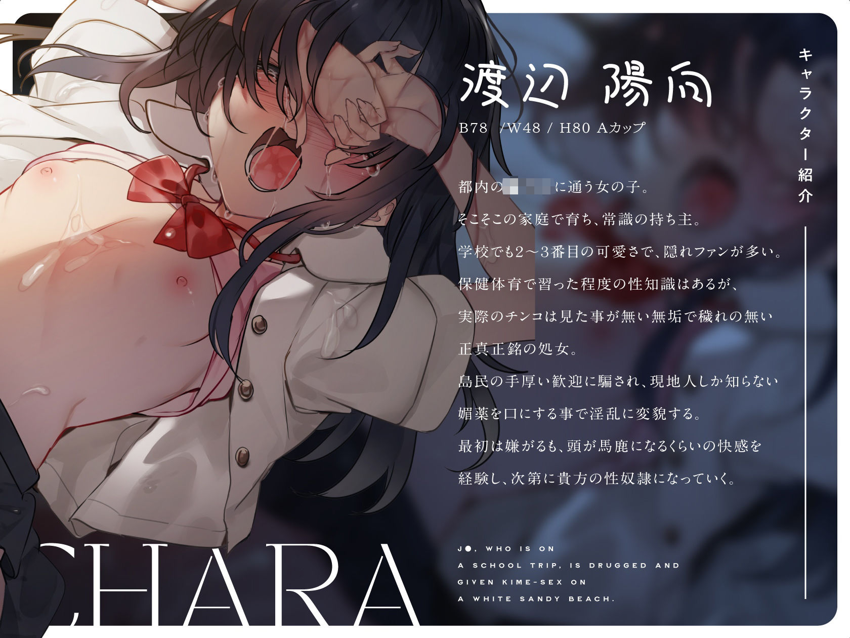 サンプル画像4:修学旅行中のJ〇に薬を●ませて白い砂浜でキメセク三昧(RAV) [d_265177]