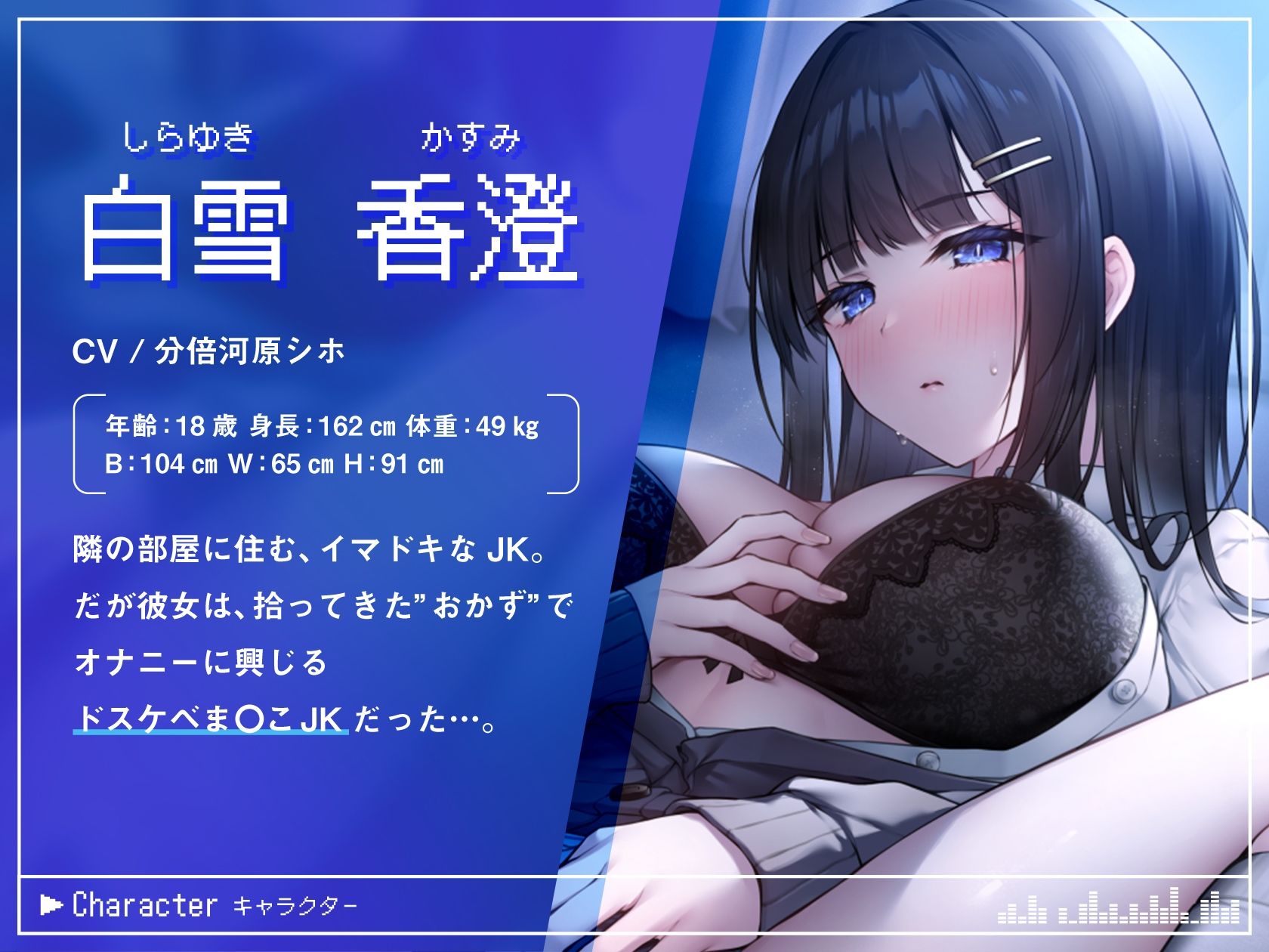 サンプル画像1:【ド下品オホ声×低音ダウナー】隣のオナニー大好きJK観察日記〜清楚ビッチのマゾ雌どすけべマ〇コに密着取材(めろん堂) [d_276386]