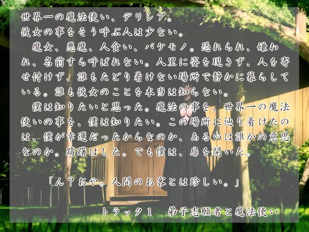 サンプル画像1:魔法使いとその小さな弟子(近未来のふわふわ) [d_281043]