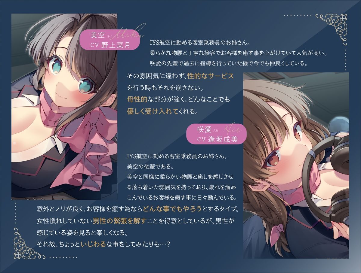 サンプル画像2:Cure Attendant〜二人の添乗員さんにたっぷり甘やかされる極上の空の旅〜(ディーブルスト) [d_281463]