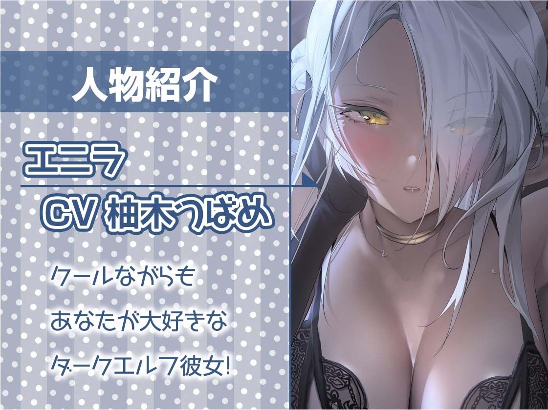 サンプル画像5:クールだけど甘やかしてくれるダークエルフと密着お布団生ハメえっち【フォーリーサウンド】(テグラユウキ) [d_285402]