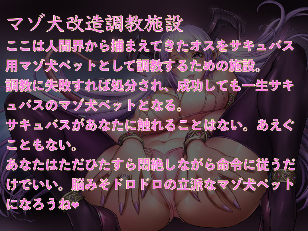 サンプル画像1:脳と亀頭を破壊するサキュバスのマゾ犬ペット改造調教(飼育係) [d_304907]