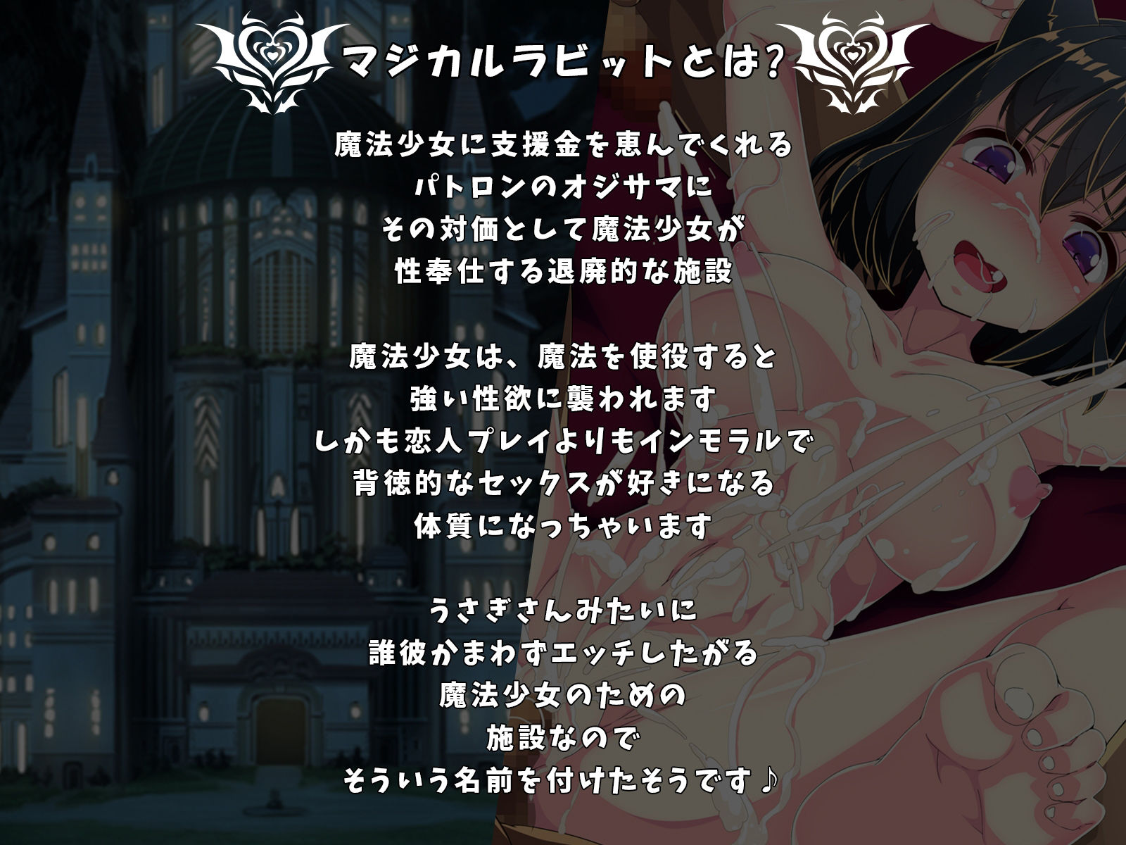 サンプル画像2:【バイノーラル・ハイレゾ】メス○キ妹が寝取られ耳元報告で鬱射精させてくれる-魔法少女ヒカリ-(めうちゃんねる＋) [d_308667]