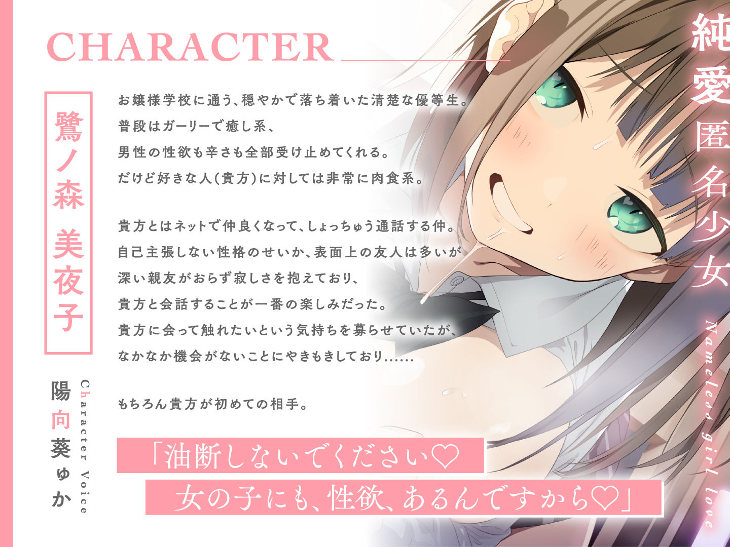 サンプル画像4:【処女作記念110円】純愛匿名少女〜どうしました、お話聞きましょうか？〜【KU100】(少女クロイスタ) [d_309044]