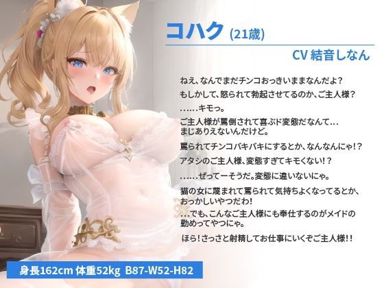 サンプル画像1:【バイノーラル】猫耳ヤンキーメイドちゃんは罵倒しながらドМご主人様と種付けセックスがしたい【抱き枕推奨/ファンタジー/巨乳】(巨乳大好き屋) [d_316329]