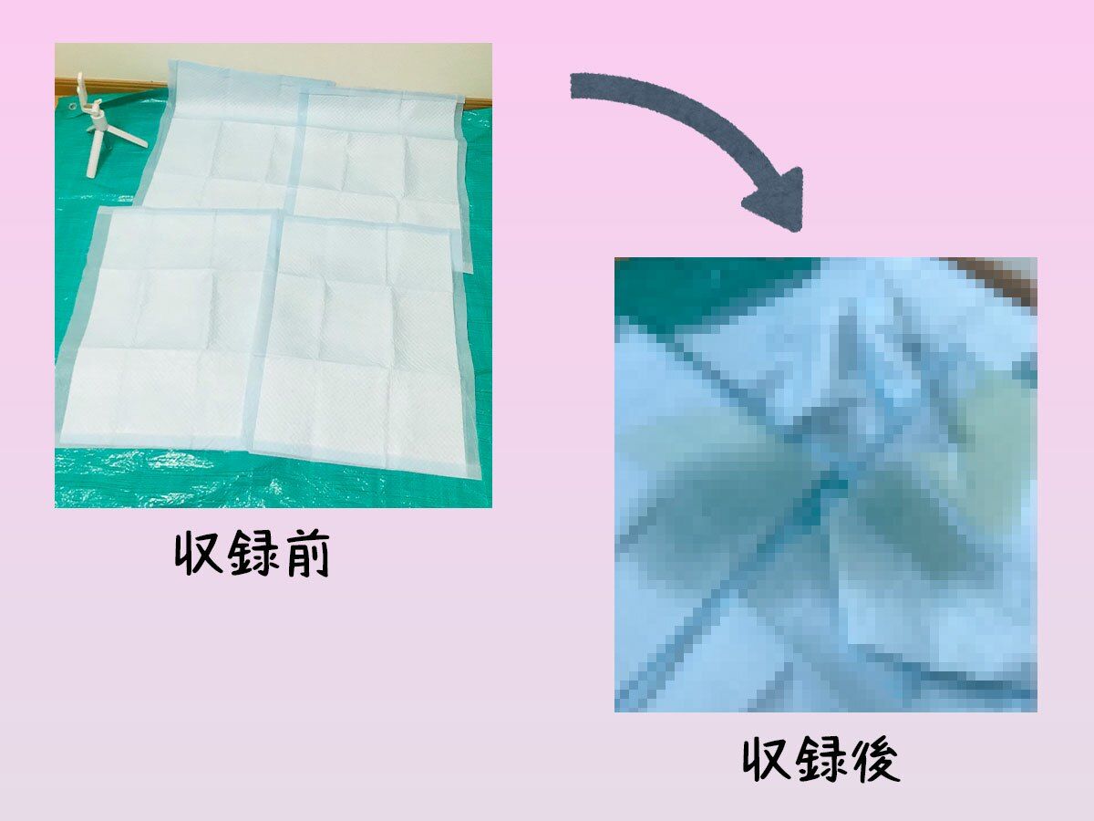 サンプル画像1:【ガチお漏らし実演】何でも言いなりの女子大生彼女にペット用のおしっこシートの上でおしっこ我慢オナニーをさせてみた…プライド無視の屈辱犬プレイ【ガチ録＃014】(モシモセカイ) [d_324612]