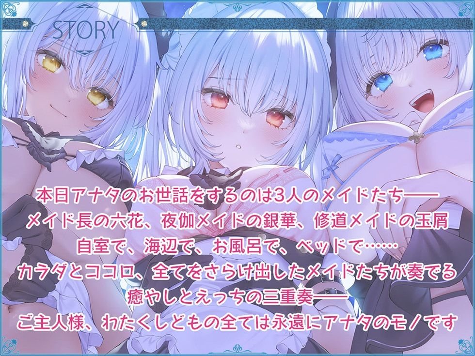 サンプル画像3:瑠璃雪楼の幻想曲 メイド長 夜伽メイド 修道メイドによる癒やしとえっちの三重奏【KU100ハイレゾ】(パースペクティブ少女幻奏) [d_331433]