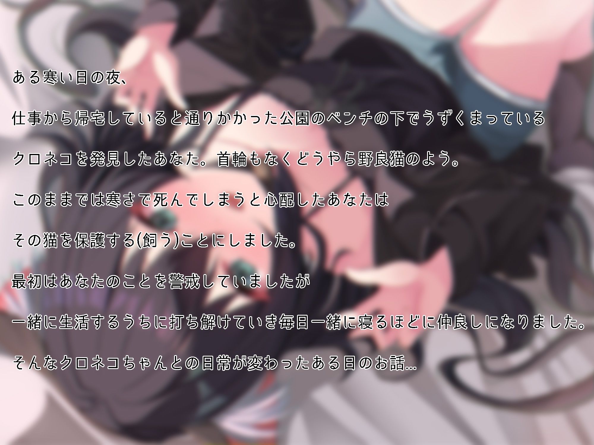 サンプル画像3:ちょっとナマイキペットとのイチャラブ生活〜クロネコが朝起きてたらケモミミロリになってた件〜(あじ彩園) [d_332990]