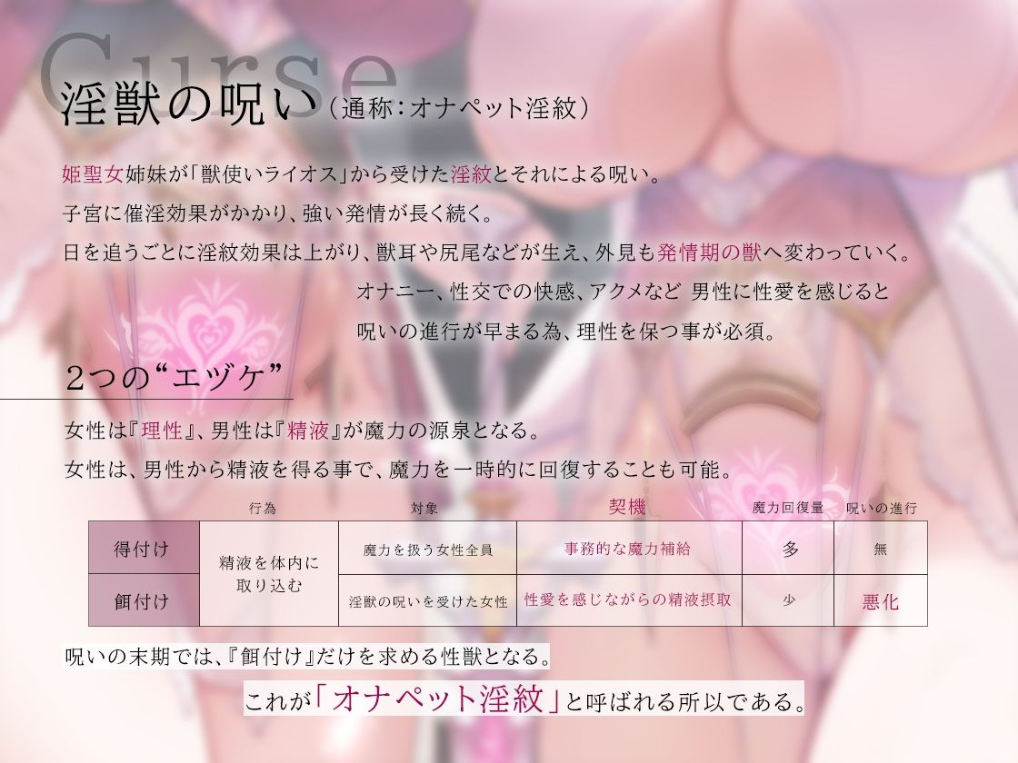 サンプル画像5:【ハメ比べ】聖従巫女の分からせ淫往記 〜王宮姉妹と性獣淫紋〜(ろんりーわん) [d_334099]